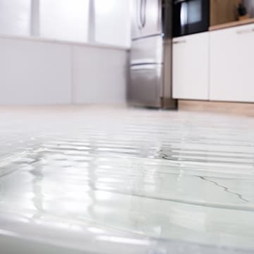Water & Flood Damage