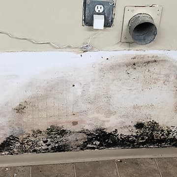 Mold Restoration