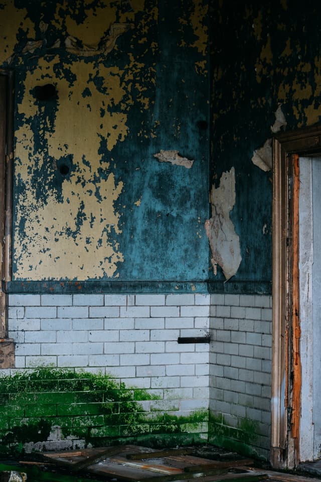 What is water damage restoration?